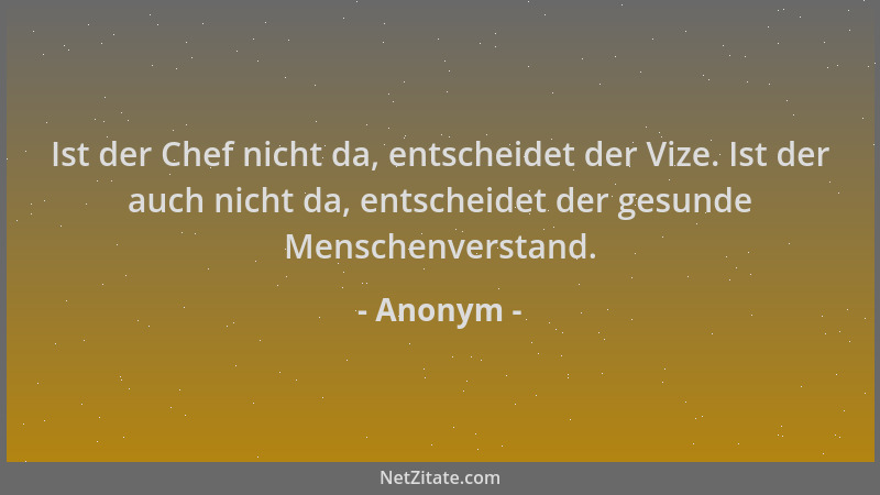 Anonym - Ist der Chef nicht da, entscheidet der Vize. Ist der auch nicht da, entscheidet der gesunde Menschenverstand....