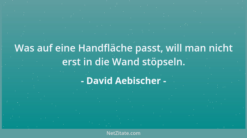 David Aebischer - Was auf eine Handfläche passt, will man nicht erst in die Wand stöpseln....