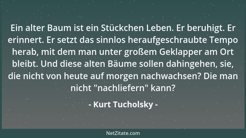 Kurt Tucholsky - Ein alter Baum ist ein Stückchen Leben. Er beruhigt. Er erinnert. Er setzt das sinnlos heraufgeschraubte T...