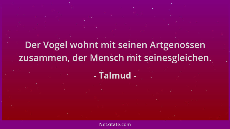 Talmud - Der Vogel wohnt mit seinen Artgenossen zusammen, der Mensch mit seinesgleichen....