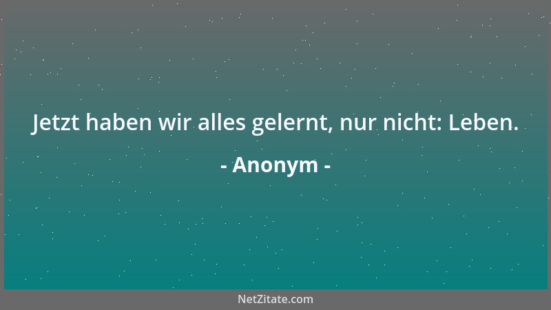Anonym - Jetzt haben wir alles gelernt, nur nicht: Leben....
