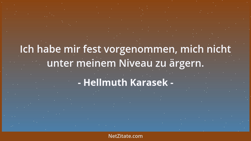Hellmuth Karasek - Ich habe mir fest vorgenommen, mich nicht unter meinem Niveau zu ärgern....