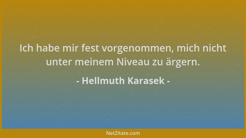 Hellmuth Karasek - Ich habe mir fest vorgenommen, mich nicht unter meinem Niveau zu ärgern....