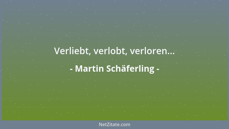 Martin Schäferling - Verliebt, verlobt, verloren......