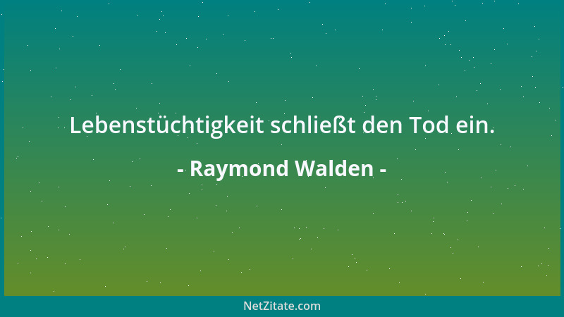 Raymond Walden - Ohne Werbung geht nichts, mit derselben viel Unsinn....