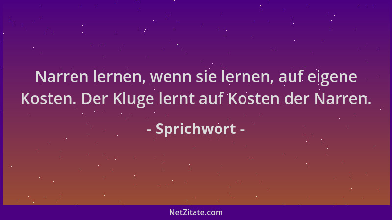 Sprichwort - Narren lernen, wenn sie lernen, auf eigene Kosten. Der Kluge lernt auf Kosten der Narren....