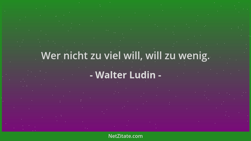 Walter Ludin - Wer nicht zu viel will, will zu wenig....