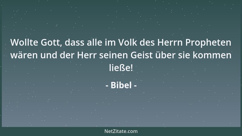 Bibel - Wollte Gott, dass alle im Volk des Herrn Propheten wären und der Herr seinen Geist über sie kommen ließe!...