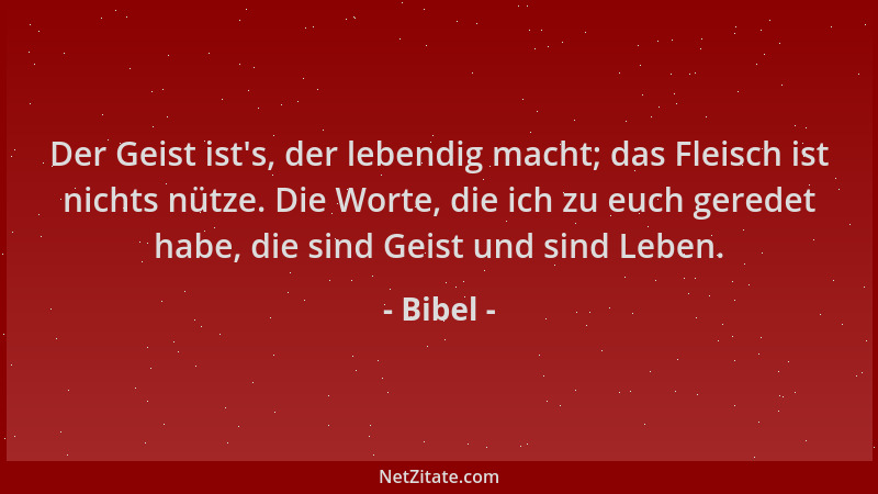 Bibel - Der Geist ist 's, der lebendig macht; das Fleisch ist nichts nütze. Die Worte, die ich zu euch geredet habe, die sin...