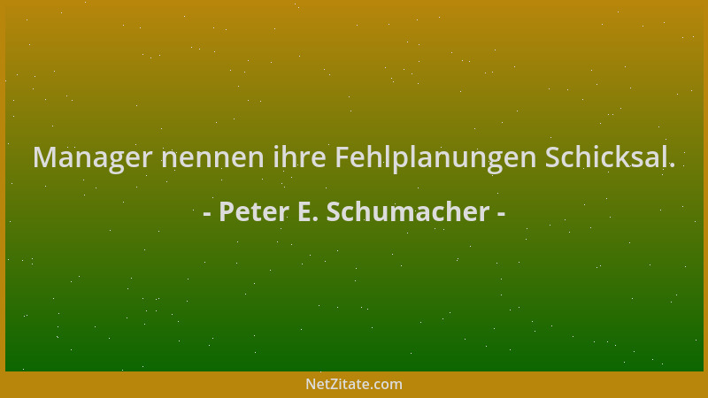 Peter E. Schumacher - Manager nennen ihre Fehlplanungen Schicksal....