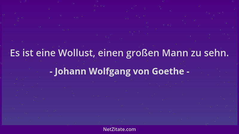 Johann Wolfgang von Goethe - Es ist eine Wollust, einen großen Mann zu sehn....