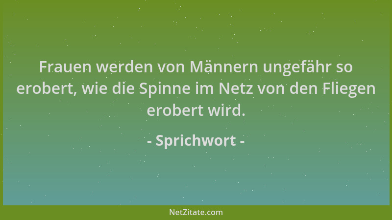 Sprichwort - Frauen werden von Männern ungefähr so erobert, wie die Spinne im Netz von den Fliegen erobert wird....