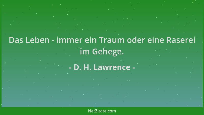 D. H. Lawrence - Das Leben - immer ein Traum oder eine Raserei im Gehege....