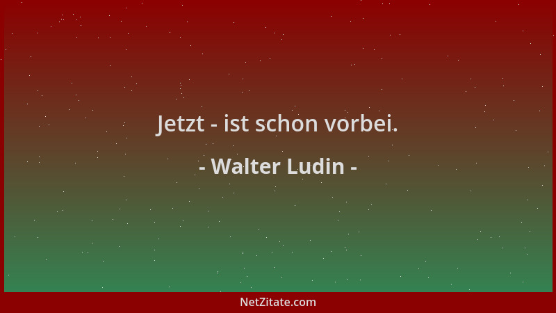 Walter Ludin - Jetzt - ist schon vorbei....