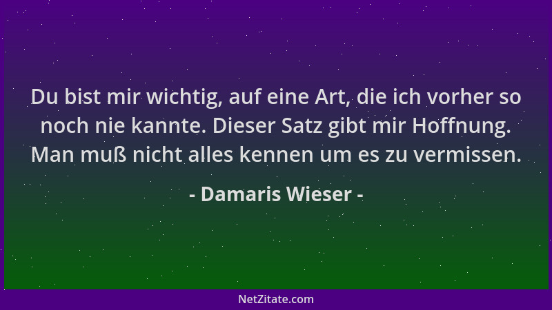 Damaris Wieser - Du bist mir wichtig, auf eine Art, die ich vorher so noch nie kannte. Dieser Satz gibt mir Hoffnung. Man m...