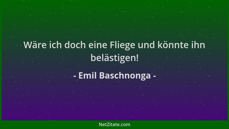 Emil Baschnonga - Wäre ich doch eine Fliege und könnte ihn belästigen!...