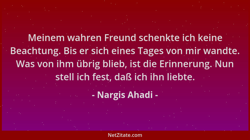 Nargis Ahadi - Meinem wahren Freund schenkte ich keine Beachtung. Bis er sich eines Tages von mir wandte. Was von ihm übrig...