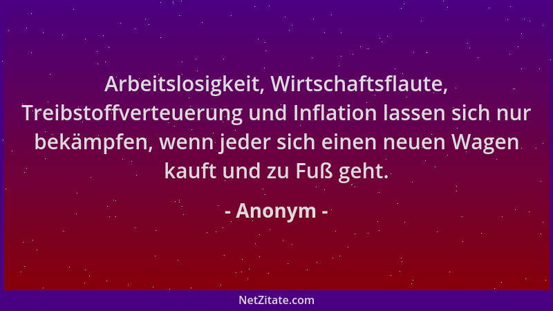 Anonym - Arbeitslosigkeit, Wirtschaftsflaute, Treibstoffverteuerung und Inflation lassen sich nur bekämpfen, wenn jeder sic...