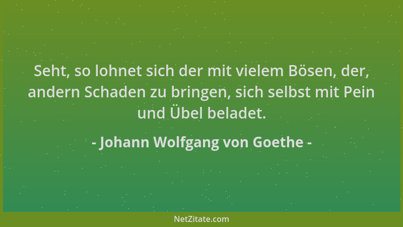 Johann Wolfgang von Goethe - Seht, so lohnet sich der mit vielem Bösen, der, andern Schaden zu bringen, sich selbst mit Pei...
