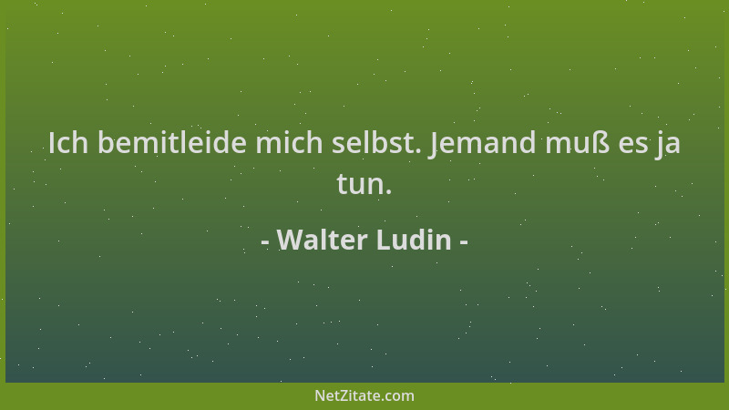 Walter Ludin - Ich bemitleide mich selbst. Jemand muß es ja tun....
