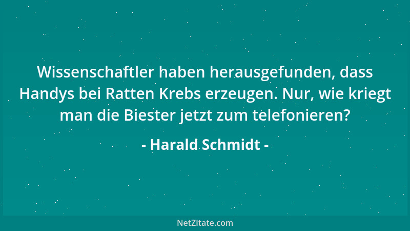 Harald Schmidt - Wissenschaftler haben herausgefunden, dass Handys bei Ratten Krebs erzeugen. Nur, wie kriegt man die Biest...
