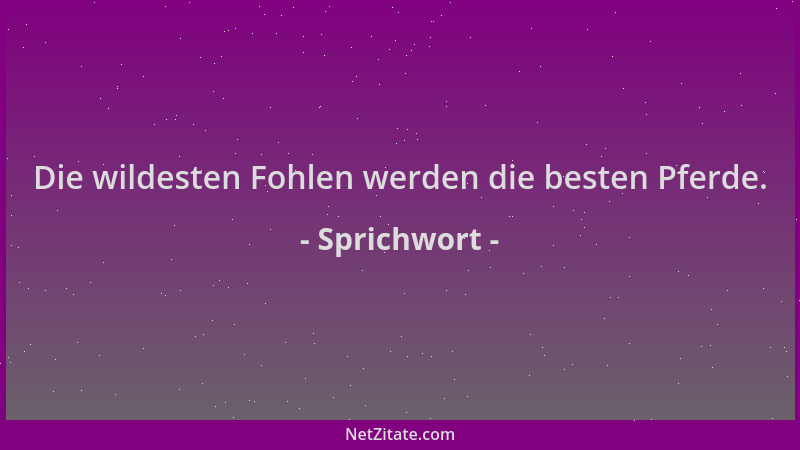 Sprichwort - Die wildesten Fohlen werden die besten Pferde....