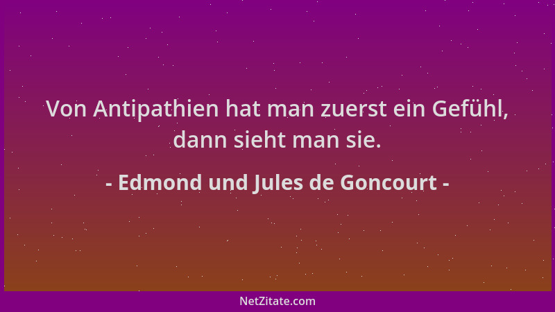 Edmond und Jules de Goncourt - Von Antipathien hat man zuerst ein Gefühl, dann sieht man sie....