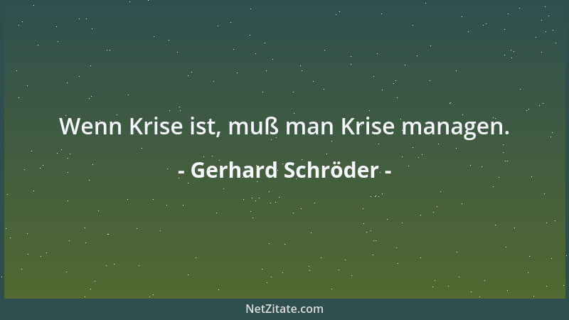 Gerhard Schröder - Wenn Krise ist, muß man Krise managen....