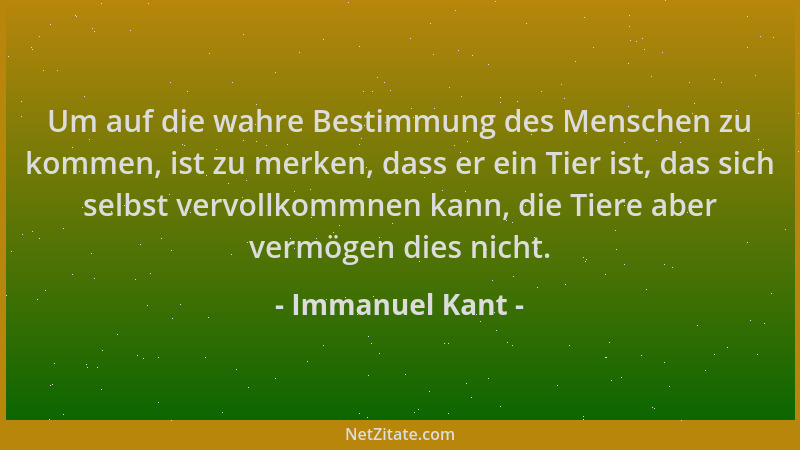 Immanuel Kant - Um auf die wahre Bestimmung des Menschen zu kommen, ist zu merken, dass er ein Tier ist, das sich selbst ve...