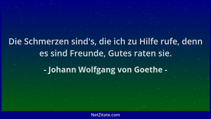Johann Wolfgang von Goethe - Die Schmerzen sind 's, die ich zu Hilfe rufe, denn es sind Freunde, Gutes raten sie....