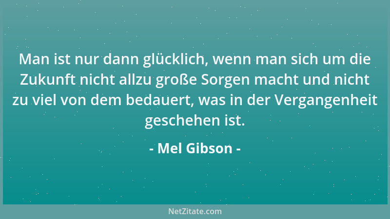 Mel Gibson - Ein Schwarzer und ein Spinner sind immer die Gewinner!...