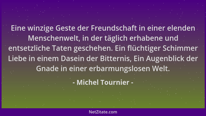 Michel Tournier - Eine winzige Geste der Freundschaft in einer elenden Menschenwelt, in der täglich erhabene und entsetzlic...