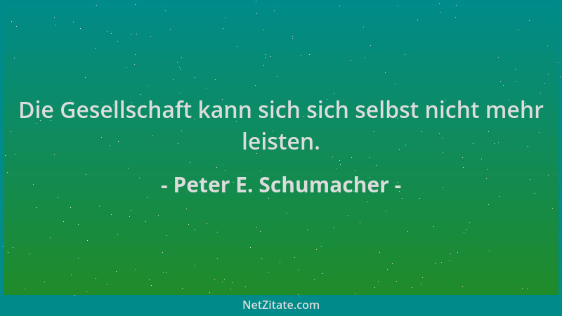 Peter E. Schumacher - Die Gesellschaft kann sich sich selbst nicht mehr leisten....