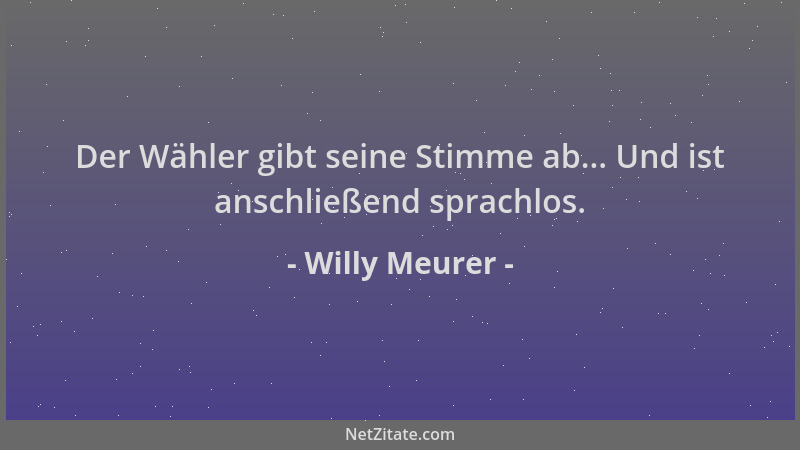 Willy Meurer - Der Wähler gibt seine Stimme ab... Und ist anschließend sprachlos....