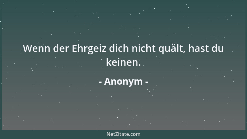 Anonym - Wenn der Ehrgeiz dich nicht quält, hast du keinen....