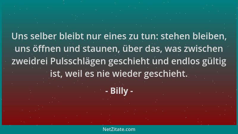 Billy - Uns selber bleibt nur eines zu tun: stehen bleiben, uns öffnen und staunen, über das, was zwischen zweidrei Pulssch...
