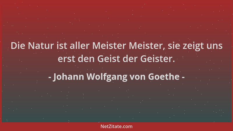Johann Wolfgang von Goethe - Die Natur ist aller Meister Meister, sie zeigt uns erst den Geist der Geister....