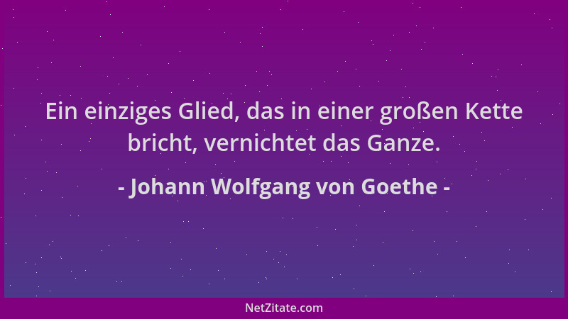 Johann Wolfgang von Goethe - Ein einziges Glied, das in einer großen Kette bricht, vernichtet das Ganze....