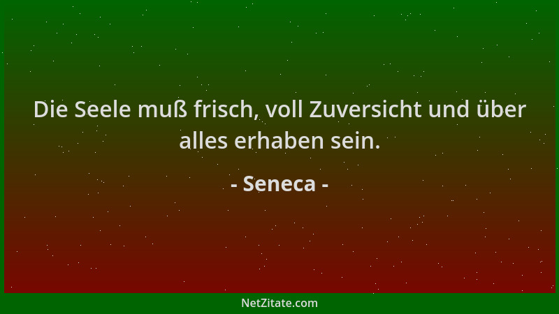 Seneca - Die Seele muß frisch, voll Zuversicht und über alles erhaben sein....
