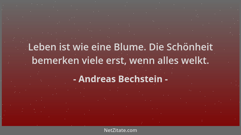 Andreas Bechstein - Leben ist wie eine Blume. Die Schönheit bemerken viele erst, wenn alles welkt....