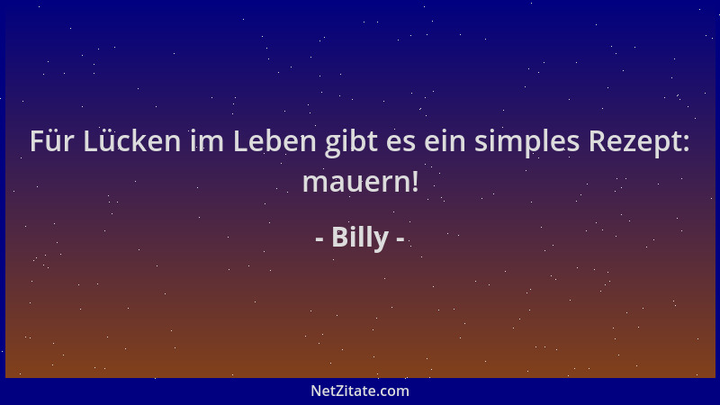 Billy - Für Lücken im Leben gibt es ein simples Rezept: mauern!...