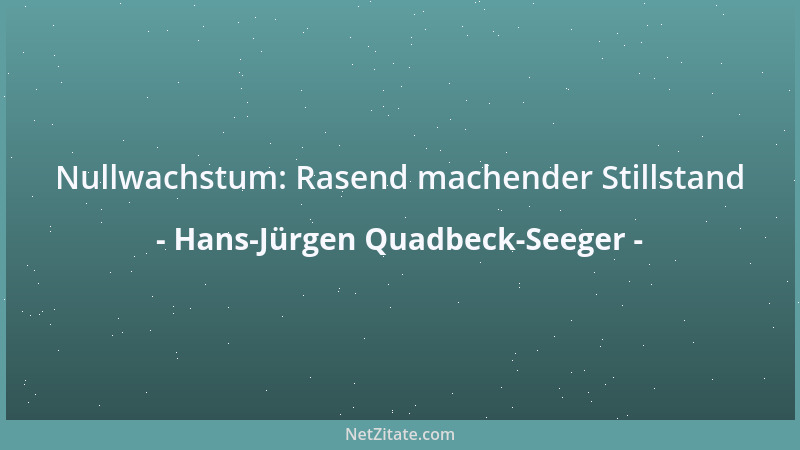 Hans-Jürgen Quadbeck-Seeger - Nullwachstum: Rasend machender Stillstand...
