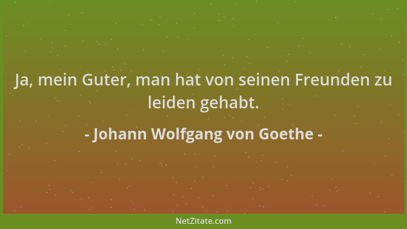 Johann Wolfgang von Goethe - Ja, mein Guter, man hat von seinen Freunden zu leiden gehabt....