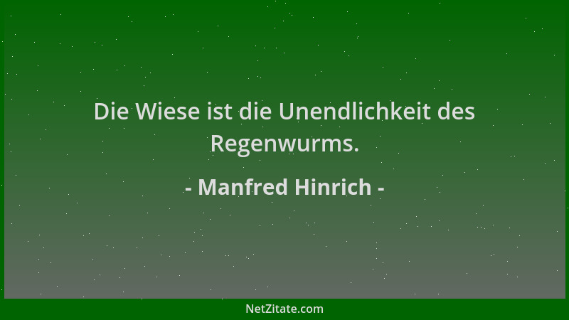 Manfred Hinrich - Die Wiese ist die Unendlichkeit des Regenwurms....