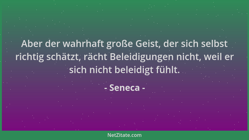 Seneca - Aber der wahrhaft große Geist, der sich selbst richtig schätzt, rächt Beleidigungen nicht, weil er sich nicht bele...