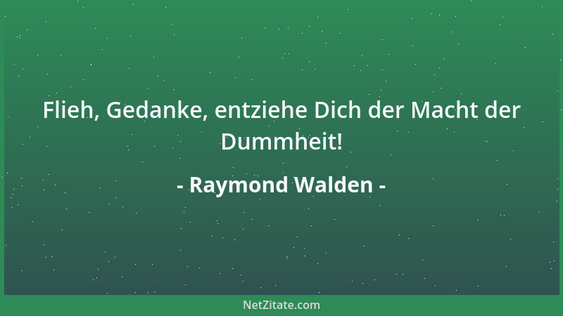 Raymond Walden - Flieh, Gedanke, entziehe Dich der Macht der Dummheit!...