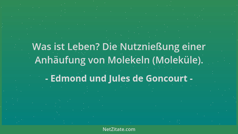 Edmond und Jules de Goncourt - Was ist Leben? Die Nutznießung einer Anhäufung von Molekeln (Moleküle)....