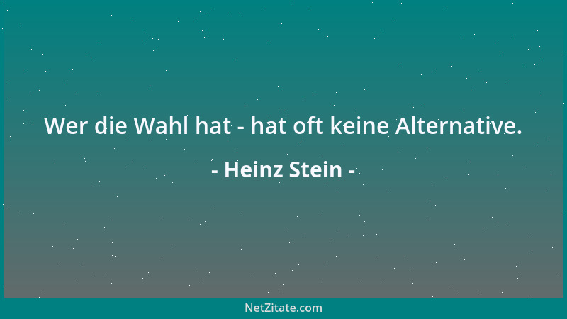 Heinz Stein - Wer die Wahl hat - hat oft keine Alternative....