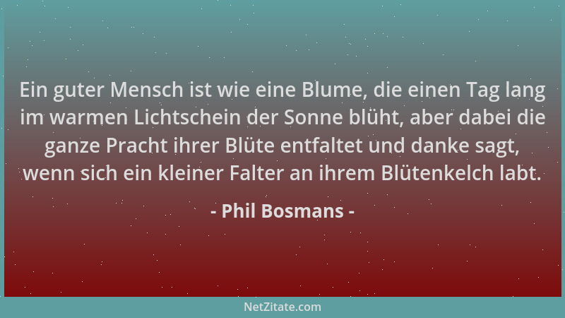 Phil Bosmans - Ein guter Mensch ist wie eine Blume, die einen Tag lang im warmen Lichtschein der Sonne blüht, aber dabei di...