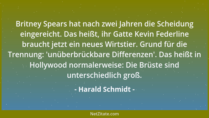 Harald Schmidt - Britney Spears hat nach zwei Jahren die Scheidung eingereicht. Das heißt, ihr Gatte Kevin Federline brauch...